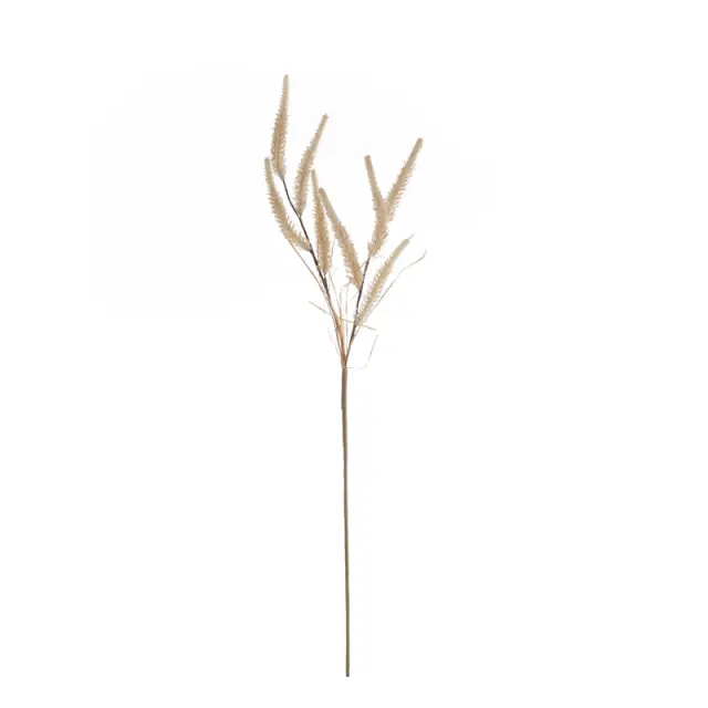 Lagurus, κλαδί τεχνητό, μπεζ, 68cm