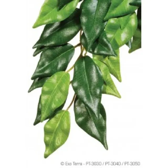 Exo Terra Ficus Υφασμάτινα Φυτά Medium