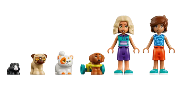 LEGO Friends Fun Water Park Day / 42676 (Lego) 3