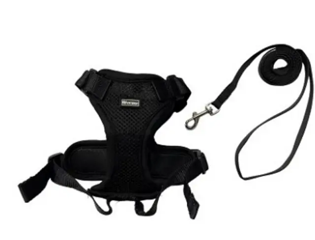 Pet Interest Επιστήθιο H Harness & Οδηγός για Γάτες Μάυρο/Small Μαύρο 2