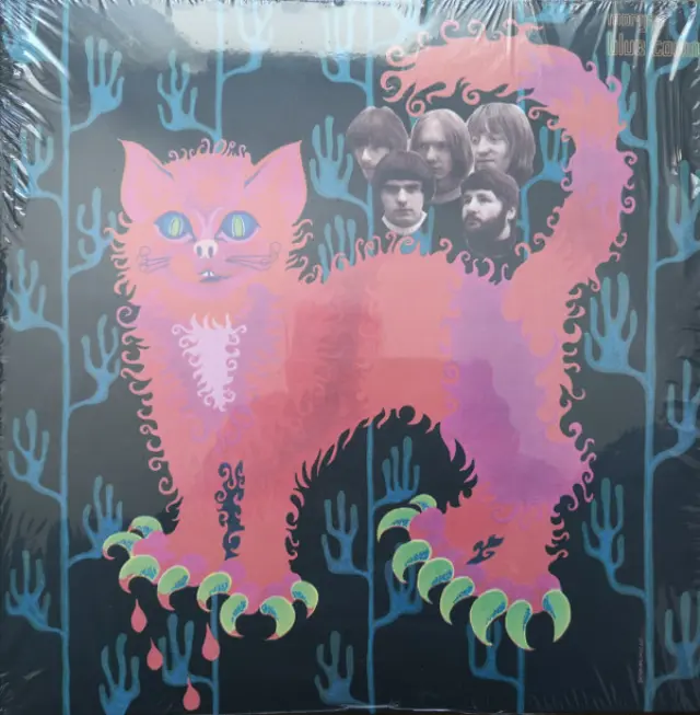 Pussy (2) - Pussy Plays (Vinyl)