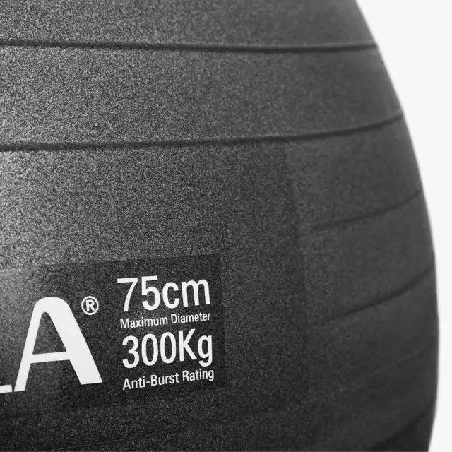 Amila Pilates 75cm 1.7kg Ball Μαύρο 48417 (Amila) - One Size 2