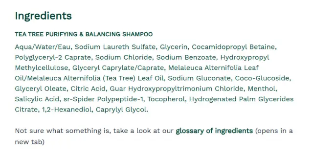 The Body Shop Tea Tree Purifying & Balancing Shampoo 2