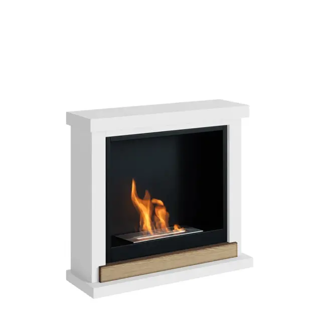 TAGU Hagen FreeFlame Bioethanol Τζάκι WH 3