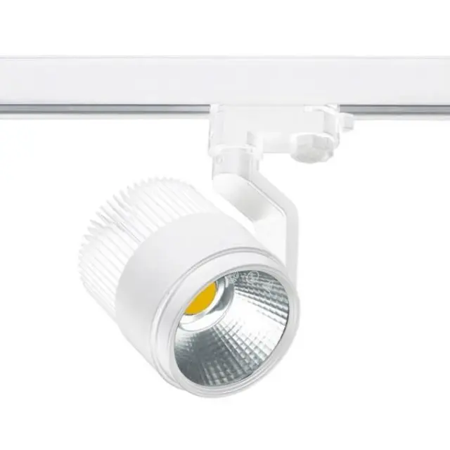 SPOTLIGHT ACTION 1XLED 25.7W WH