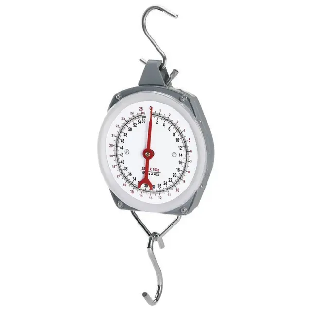 BORMANN DS1100 - BORMANN DS1100 Ζυγαριά Κρεμαστή Αναλογική 100Kg/100Gr (020905) 2