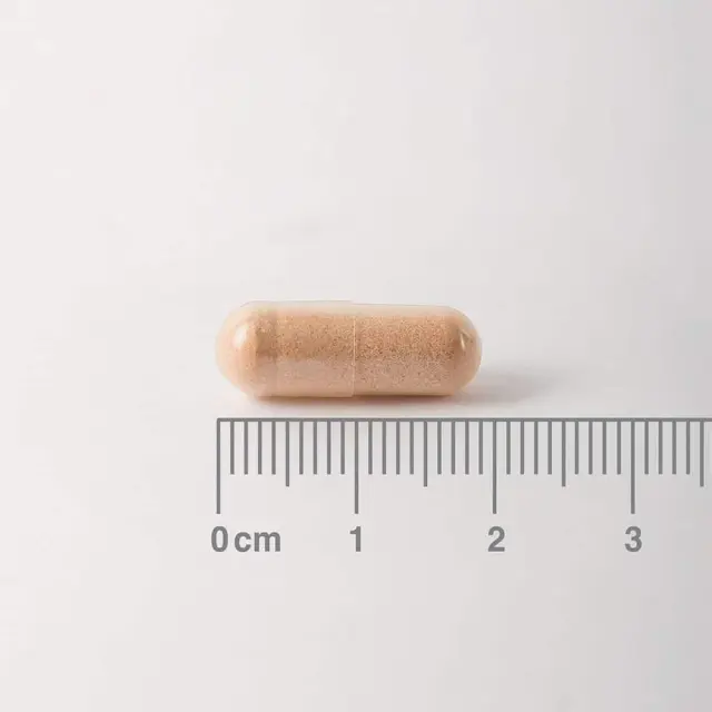 LAMBERTS Pycnogenol 40mg Συμπλήρωμα Με Ισχυρή Αντιοξειδωτική Δράση 60Caps 2