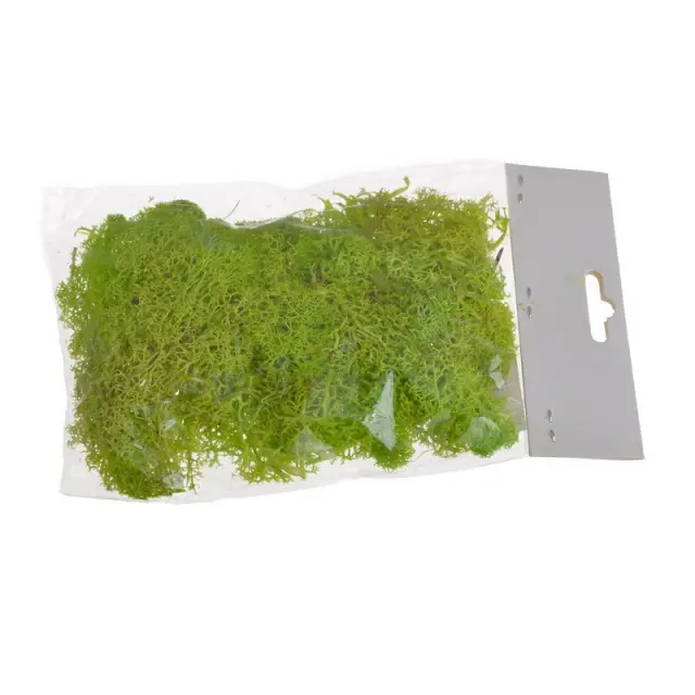 Moss φυσικό 30gr, πράσινο