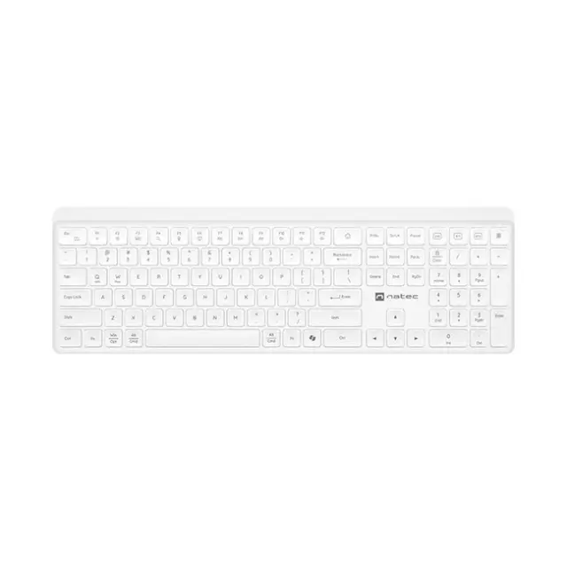 Natec Keyboard Tang 100% White (NKL-2469)