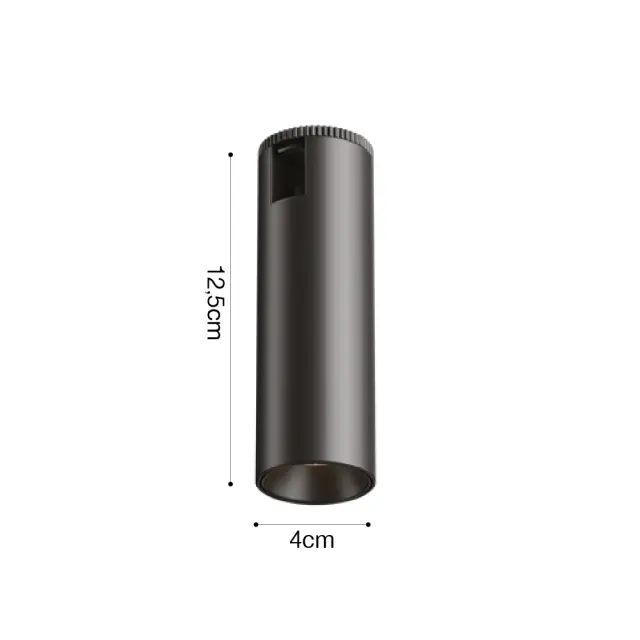 Inlight Εξωτερικό driver 48V για Chandler ράγα 200W σε μαύρη απόχρωση (13C-D001) 2