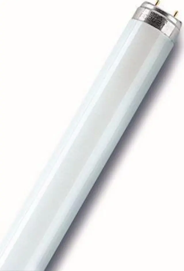 LUMILUX® T8 36 W/830