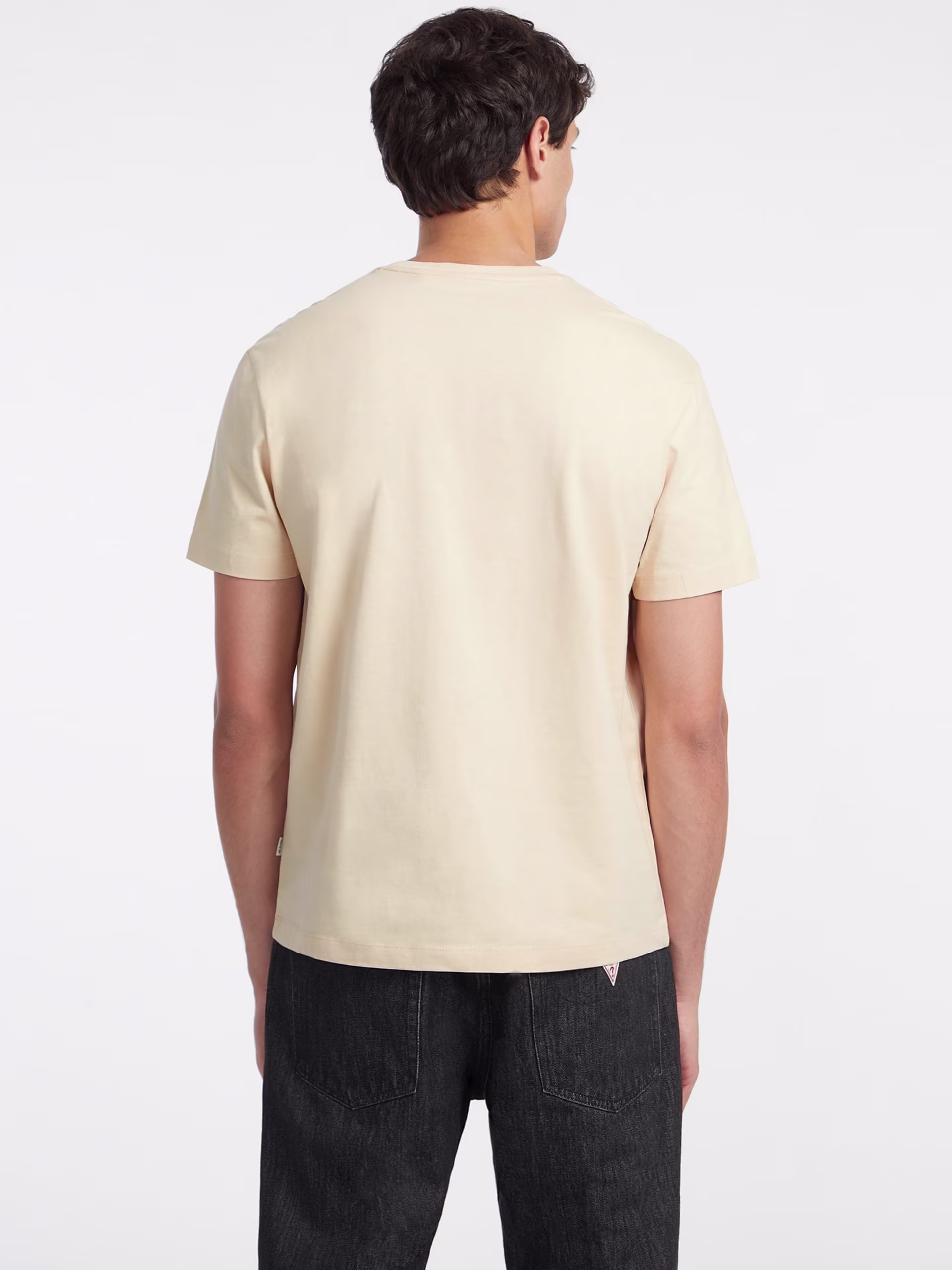 Guess Ανδρικό Μπέζ T-Shirt American Tradition Μπεζ 2