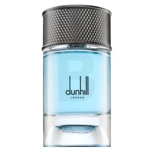 Dunhill Signature Collection Nordic Fougere Eau de Parfum for men 100 ml