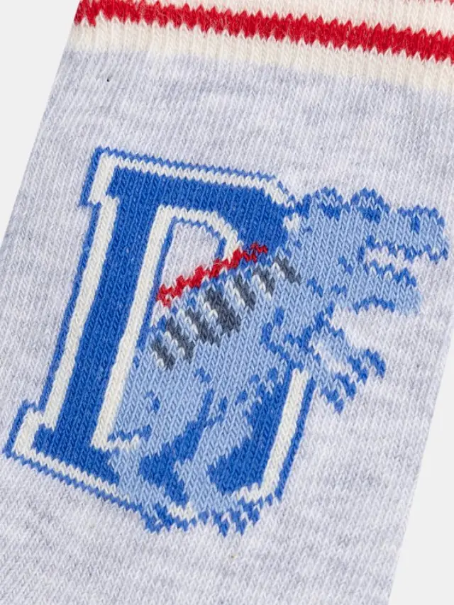 Παιδικές Κάλτσες για Αγόρια Sporty Dino ΜΠΛΕ 2