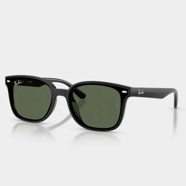 Γυαλιά Ηλίου Ray Ban RB4461D 601/71 Μαύρο - 64
