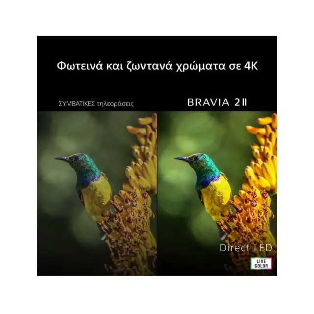 ΤΗΛΕΟΡΑΣΗ 65'' LED BRAVIA 2 II K65S25M2PB.CEI SONY 2