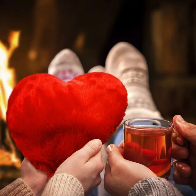 Warming Heart Pillow Deluxe - Gadgets