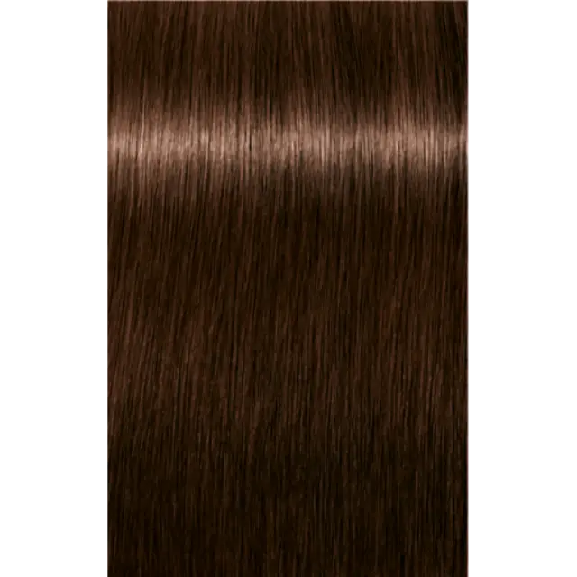 Schwarzkopf Professional Igora Royal Absolutes 5-60 Καστανό Ανοιχτό Μαρόν Φυσικό 60ml