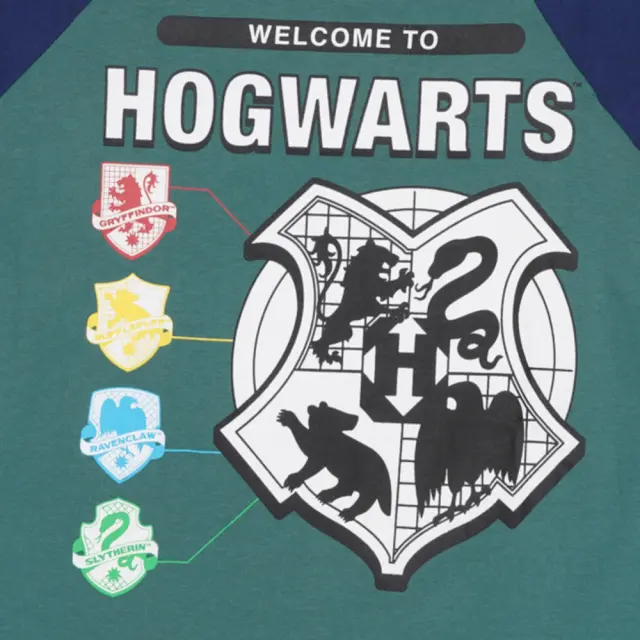 Μπλουζάκι Μακρυμάνικο Hogwarts Green 8020237 - 14 Y (158cm) 3