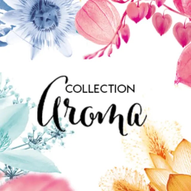 Maison Berger Paris Bouquet Refill Υγρό Αναπλήρωσης για Δοχείο Αρωματισμού Χώρου Aroma Dream Delicate Amber 200ml 2