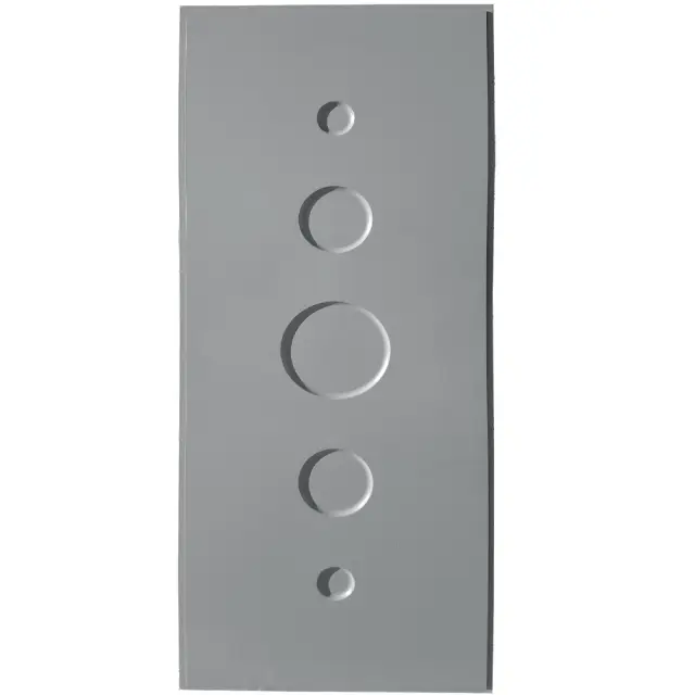 Θωρακισμένη Πόρτα Λάκα RAL EX 721 2
