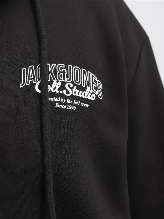 Ζακέτα φούτερ, JJMAKOTO SWEAT ZIP HOOD PLS, Jack & Jones (3XL-6XL) - 3XL 2
