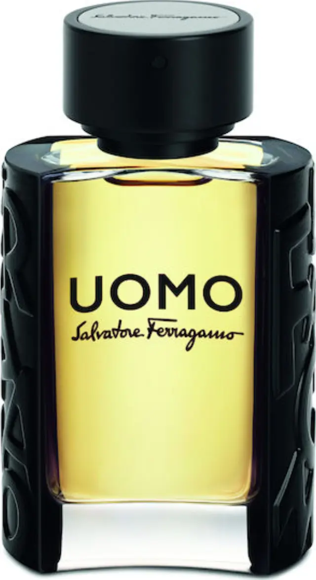 Salvatore Ferragamo Uomo Eau de Toilette 100ml 2