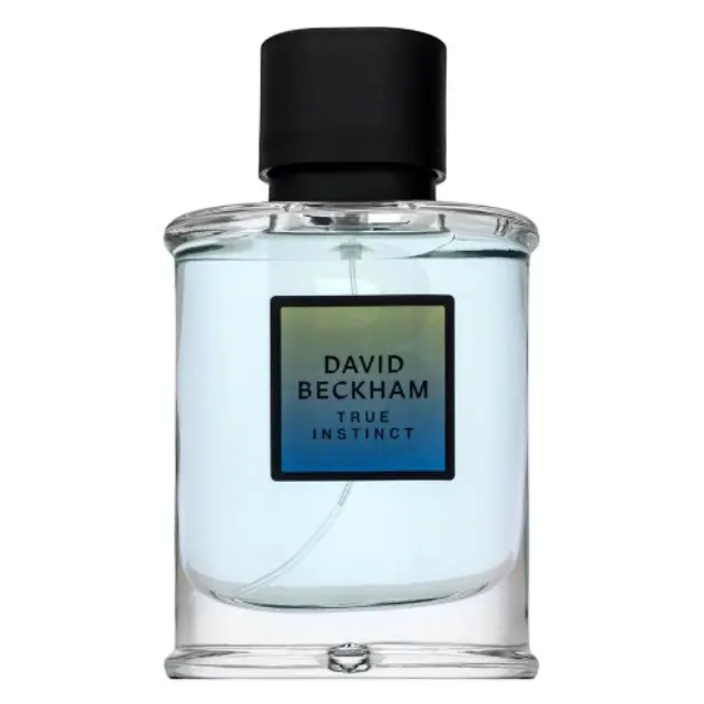 David Beckham True Instinct Eau de Parfum for men 75 ml