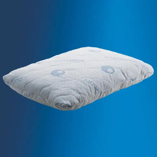 Anatomic Help Memory Foam Pillow Κλασικό μαξιλάρι ύπνου 55 x 40 x 15 2