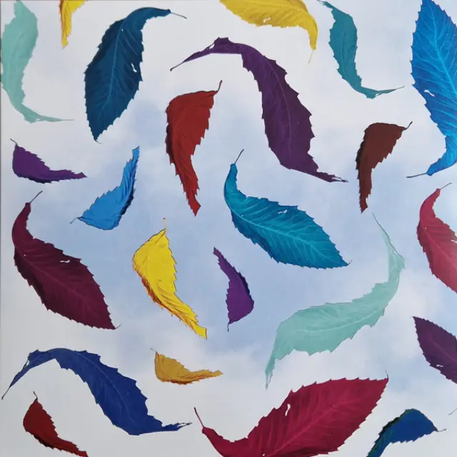 New Order - True Faith Remix (Vinyl)