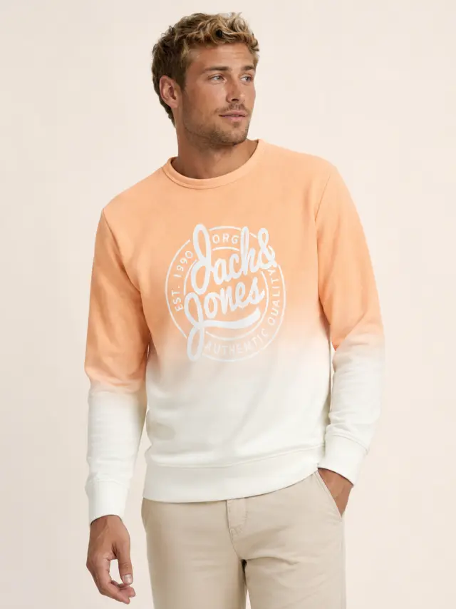 JJTARIF SWEAT CREW NECK Shell Coral 3