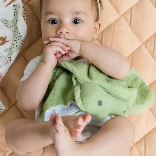 TIKIRI TOYS TIKIRI ΜΑΣΗΤΙΚΟ ΠΑΙΧΝΙΔΙ ΠΑΡΗΓΟΡΙΑΣ CROCODILE COMFORTER 3
