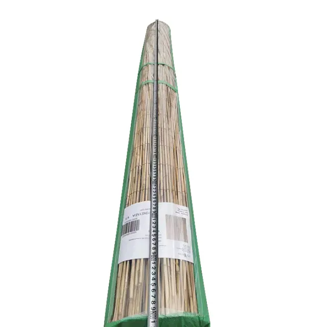 Καλαμωτή ELNICK Με Ολόκληρο Καλάμι 2x3m 2
