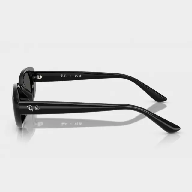 Γυαλιά Ηλίου Ray Ban RB4441D 667787 Μαύρο - 53 3