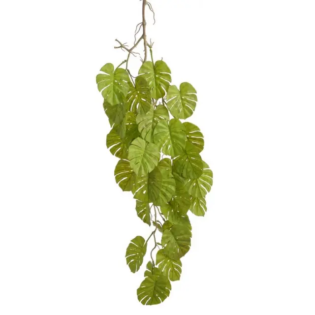 Μονστέρα κλαδί 95cm, pale green
