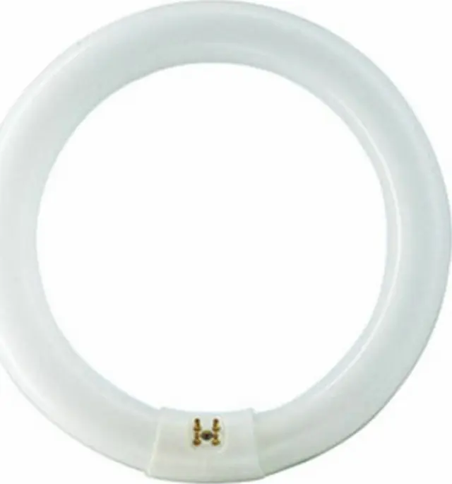 TL-E 32W/865 1CT/12
