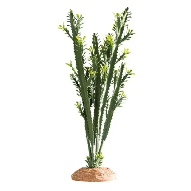 Hobby Euphorbia Διακοσμητικό Φυτό Large 25x10x46cm