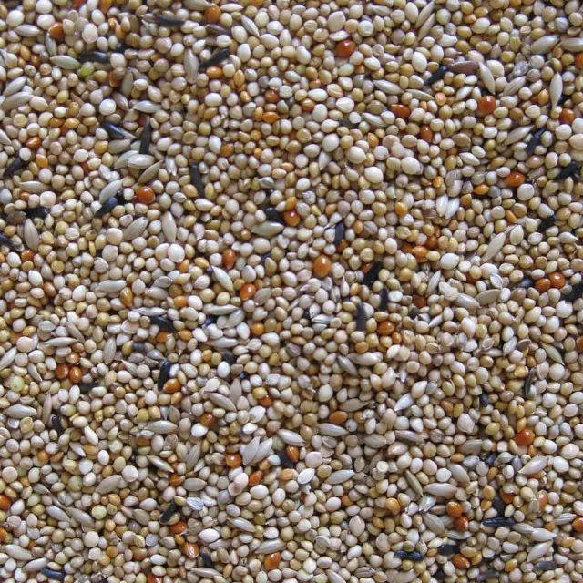 Deli Nature Premium Foreign Finches - Τροφή παραδείσιων 1kg 2