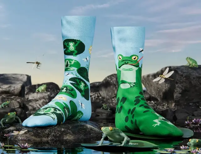 Κάλτσες Froggy Frog Many Mornings με μέγεθος 39-42 - ΕνηλίκωνFroggy Frog Regular 39-42 2