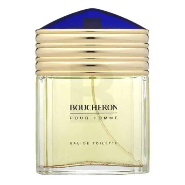 Boucheron Pour Homme Eau de Toilette for men 100 ml