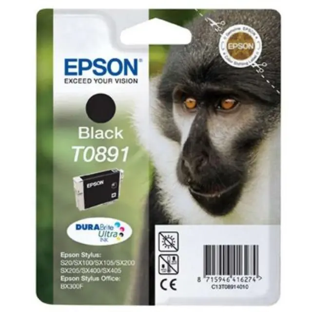 Epson T0891 Γνήσιο Μελάνι Εκτυπωτή InkJet Μαύρο (C13T08914010 C13T08914011)