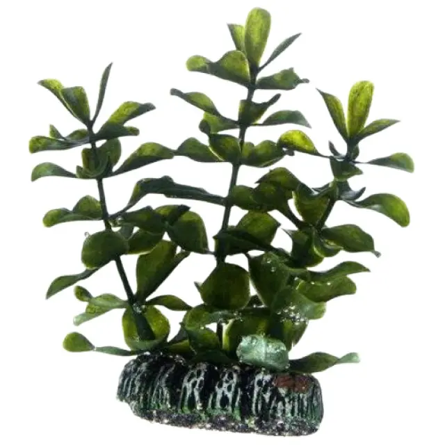 Hobby Διακοσμητικό Φυτό Ενυδρείου Bacopa 13cm