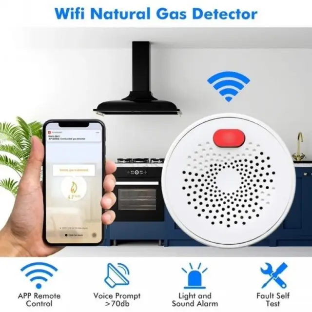 Andowl Q-MQ25 Ανιχνευτής Διαρροής Γκαζιού Πρίζας - WiFi Combusitible Gas Detector z774206 3