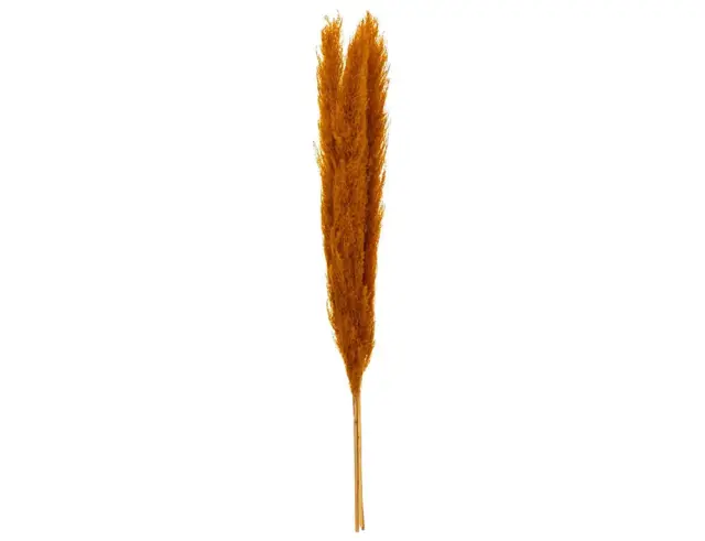 Διακοσμητικά κλαδιά Pampas Atmosphera - 109cm - 3 τεμάχια 179282C