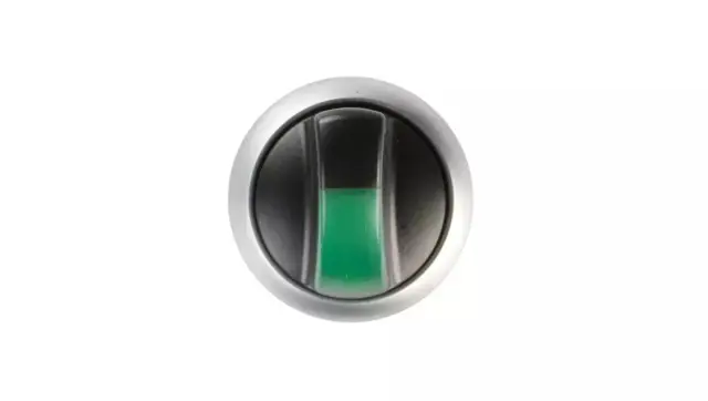 M22-WRLK-G Illuminated selector switch actuator, RMQ-Titan, With thumb-grip, maintained, 2 positions, green, Bezel: titanium