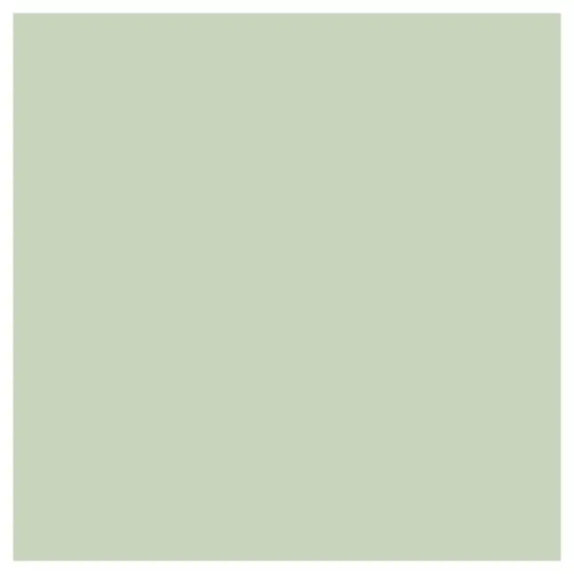 Χρώμα κιμωλίας Dekor Soft Paint 500ml Pentart, Lichen Green