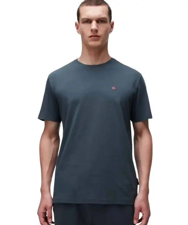 Napapijri - Ανδρικό T-shirt Salis Ss Sum Regular Fit NP0A4H8D-G1S Πράσινο - 3XL