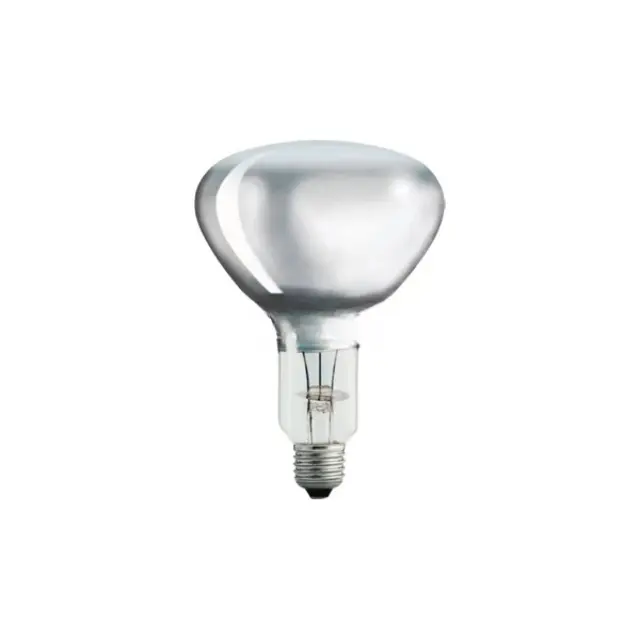 R125 230V 375W E27 Clear
