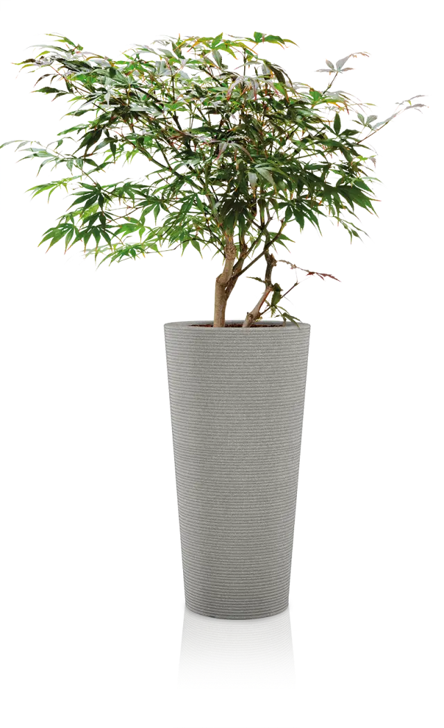 Scheurich Coneo High Taupe 243/70