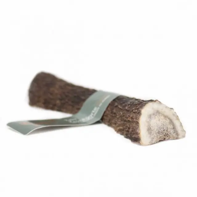 Taki - Deer Antler split L 15cm - 01-602